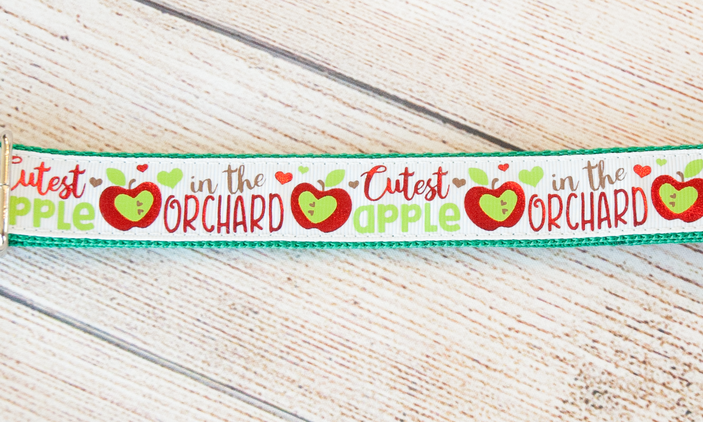 Cutest Apple in the Orchard dog collar and/or leash. 1" wide