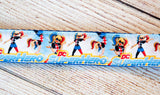 DC Villian/Superhero, Harley Quinn dog collar and/or leash. 1 inch wide