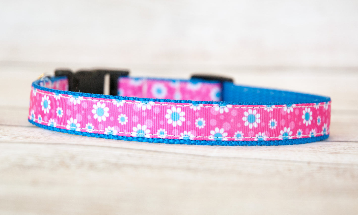 Daisy dog collar and/or leash with pink background 3/4" wide