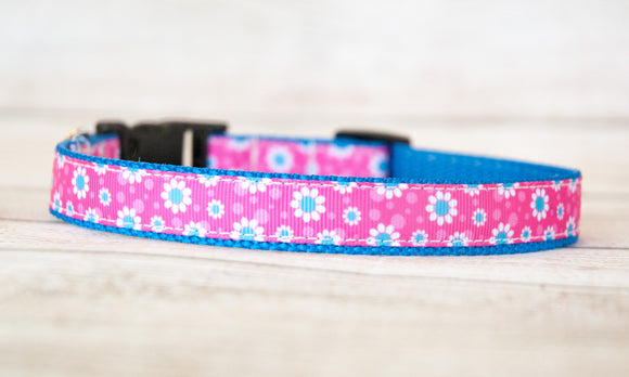 Daisy dog collar and/or leash with pink background 3/4