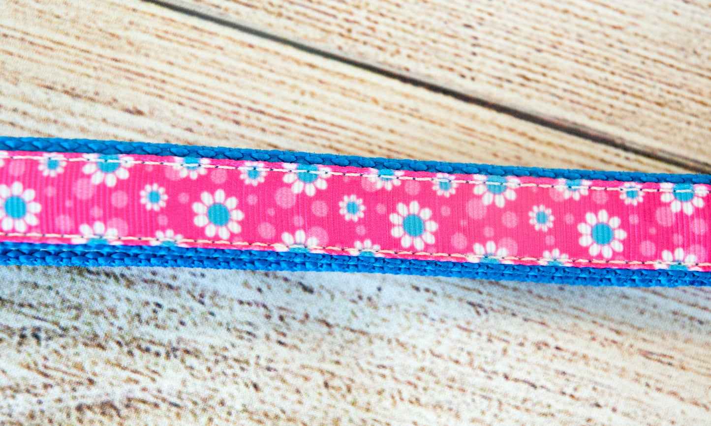 Daisy dog collar and/or leash with pink background 3/4" wide