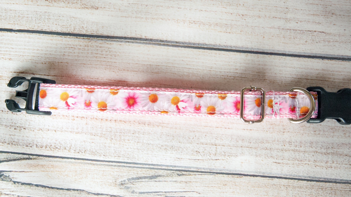 Pink and White Daisies dog collar, Daisy dog collar, Flower dog collar. 3/4" wide