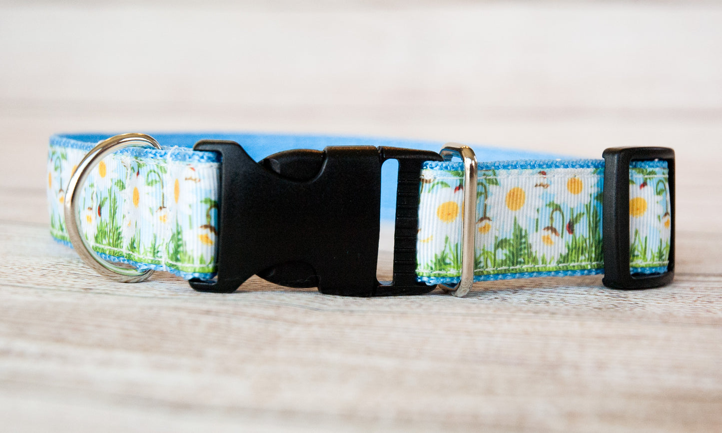 Growing Daisies dog collar and/or leash. 1" wide