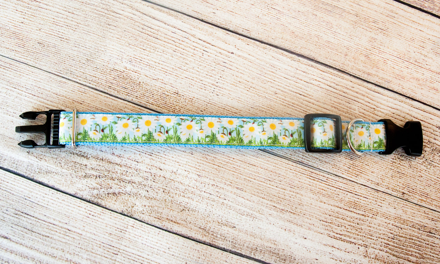 Growing Daisies dog collar and/or leash. 1" wide