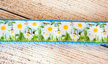 Growing Daisies dog collar and/or leash. 1" wide