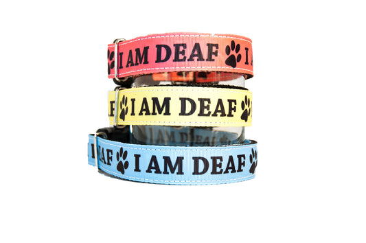 I am Deaf dog collar 1" wide