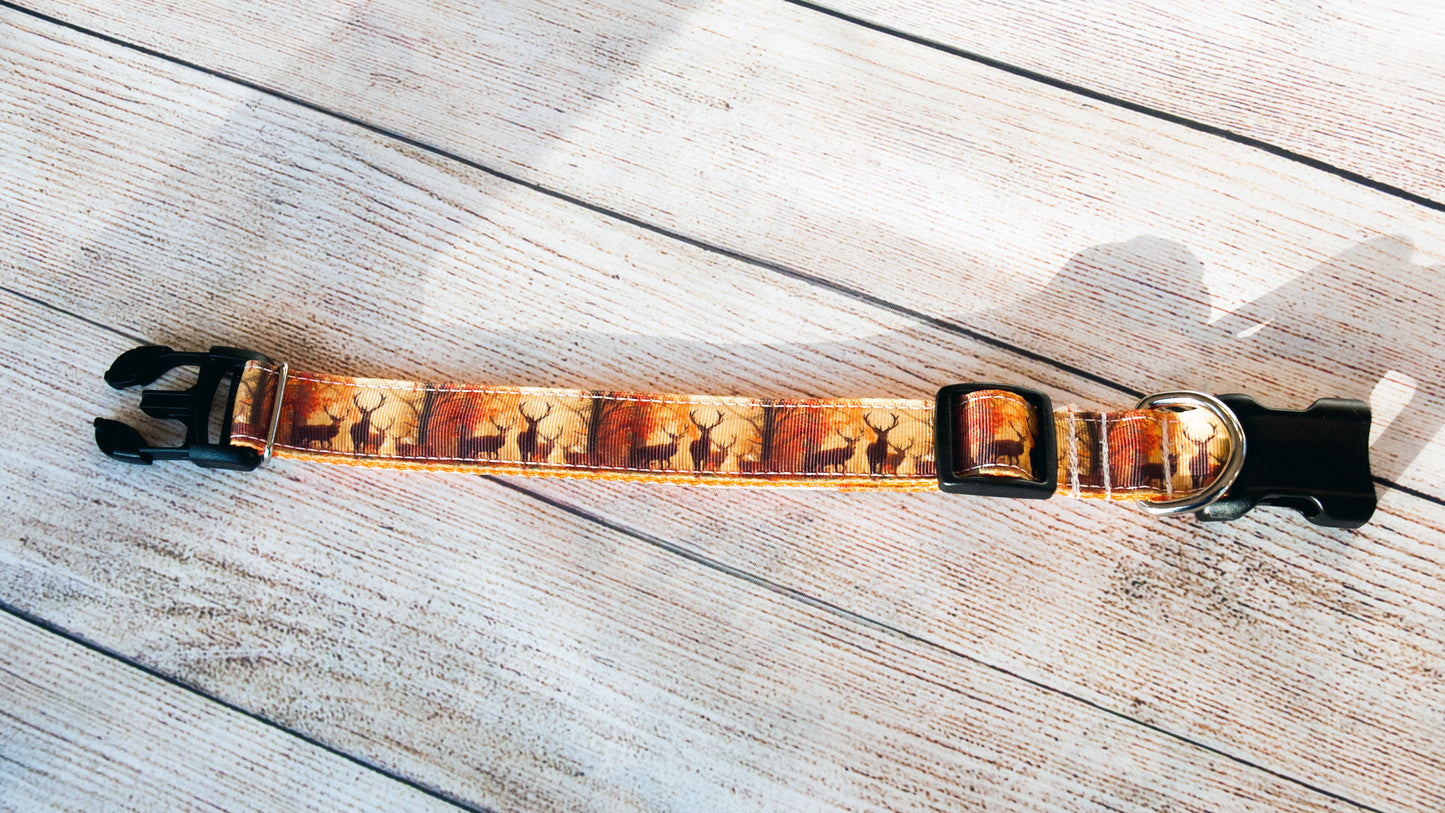 Deer Hunting collar, Elk hunting collar, Hunting dog collar, Nature collar and/or leash. 1" wide