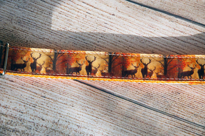 Deer Hunting collar, Elk hunting collar, Hunting dog collar, Nature collar and/or leash. 1" wide