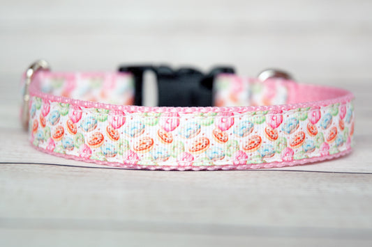 Donuts dog collar and/or leash. 3/4 inch wide