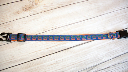 Florida Gators dog collar and/or leash. 1 inch wide