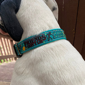 Friends don't Lie dog collar, Stranger dog collar, 1" wide