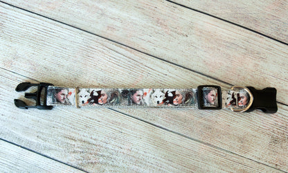 King of the North and Mother of Dragons Dog Collar and/or leash. 1 inch wide