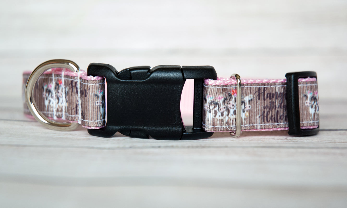 Hangin' with my Heifers dog collar and/or leash. 1 inch wide