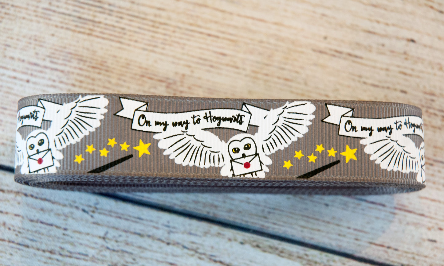 On my way to Hogwarts with Hedwig dog collar. 1 inch wide