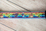 How to train your dragon dog collar and/or leash. 1 inch wide