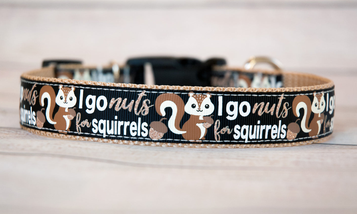 I go nuts for squirrels dog collar and/or leash(black). 3/4" wide