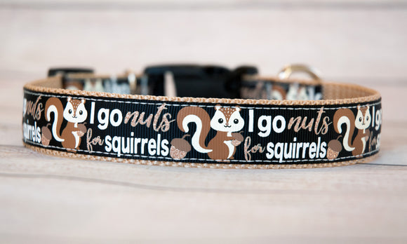 I go nuts for squirrels dog collar and/or leash(black). 3/4