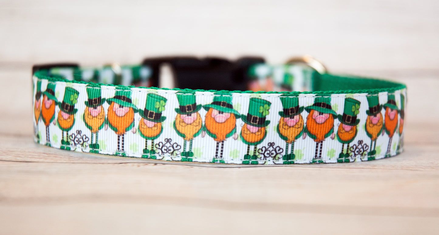 Leprechaun, St. Patrick's day dog collar. 1" wide