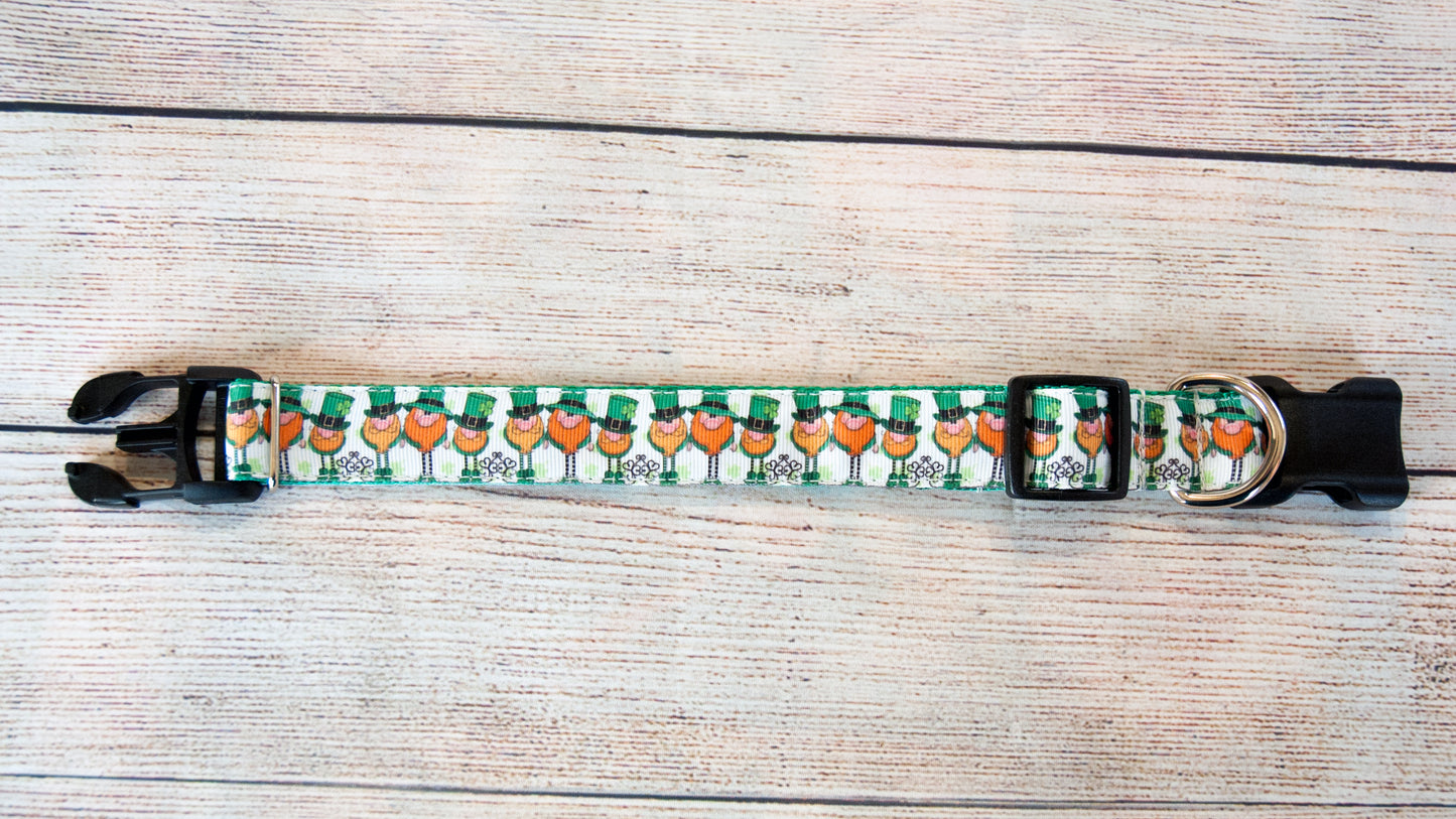 Leprechaun, St. Patrick's day dog collar. 1" wide