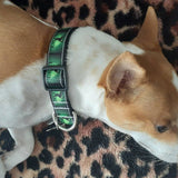 God of Mischief dog collar and/or leash in green and 1" wide, Loki dog collar