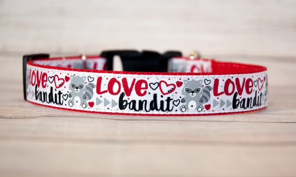 Love Bandit with hearts and Racoons dog collar. 1
