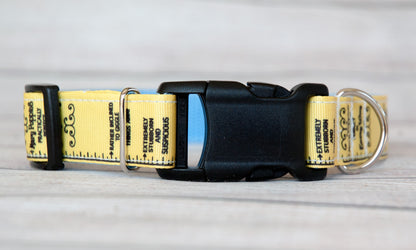 Magical Nanny measuring tape, Poppins dog collar, 1" wide