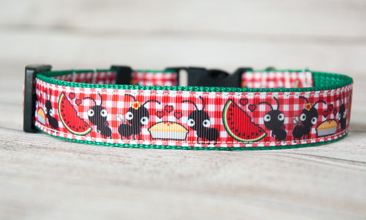 Red Ginham Ant picnic dog collar.  1" wide