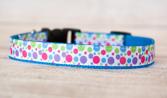 Multi-colored polka dot dog collar. 3/4" wide