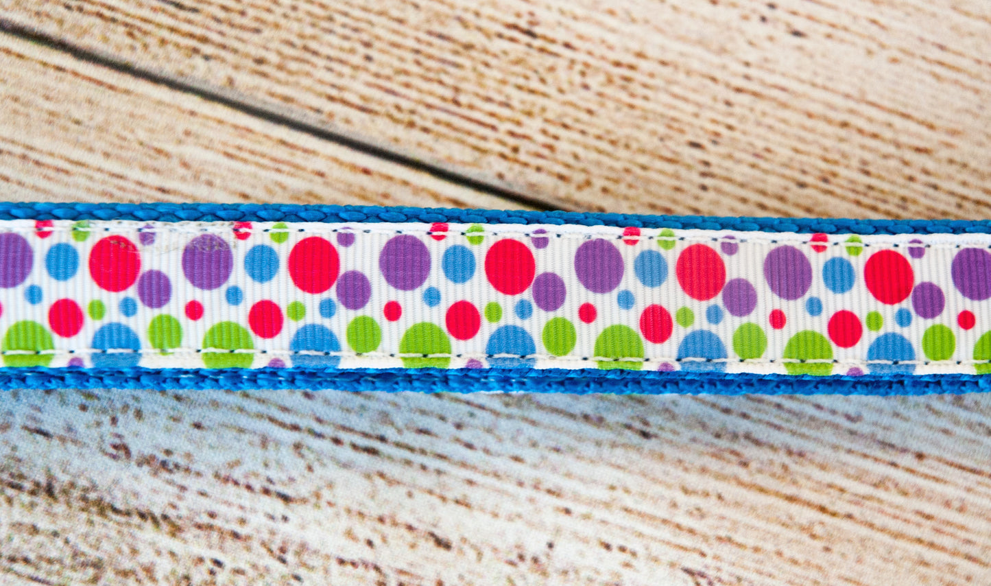 Multi-colored polka dot dog collar. 3/4" wide