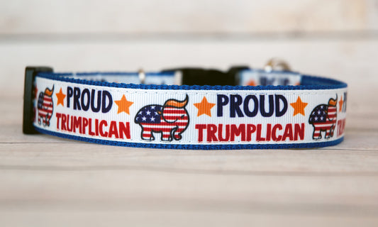 Proud Trumplican dog collar. 1 inch wide