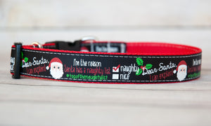 I'm the reason Santa has a Naughty List dog collar. 1 inch wide