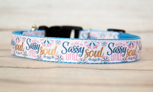 Sassy Little Soul 1" wide dog collar