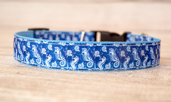 Seahorses on Royal Blue background dog collar. 1