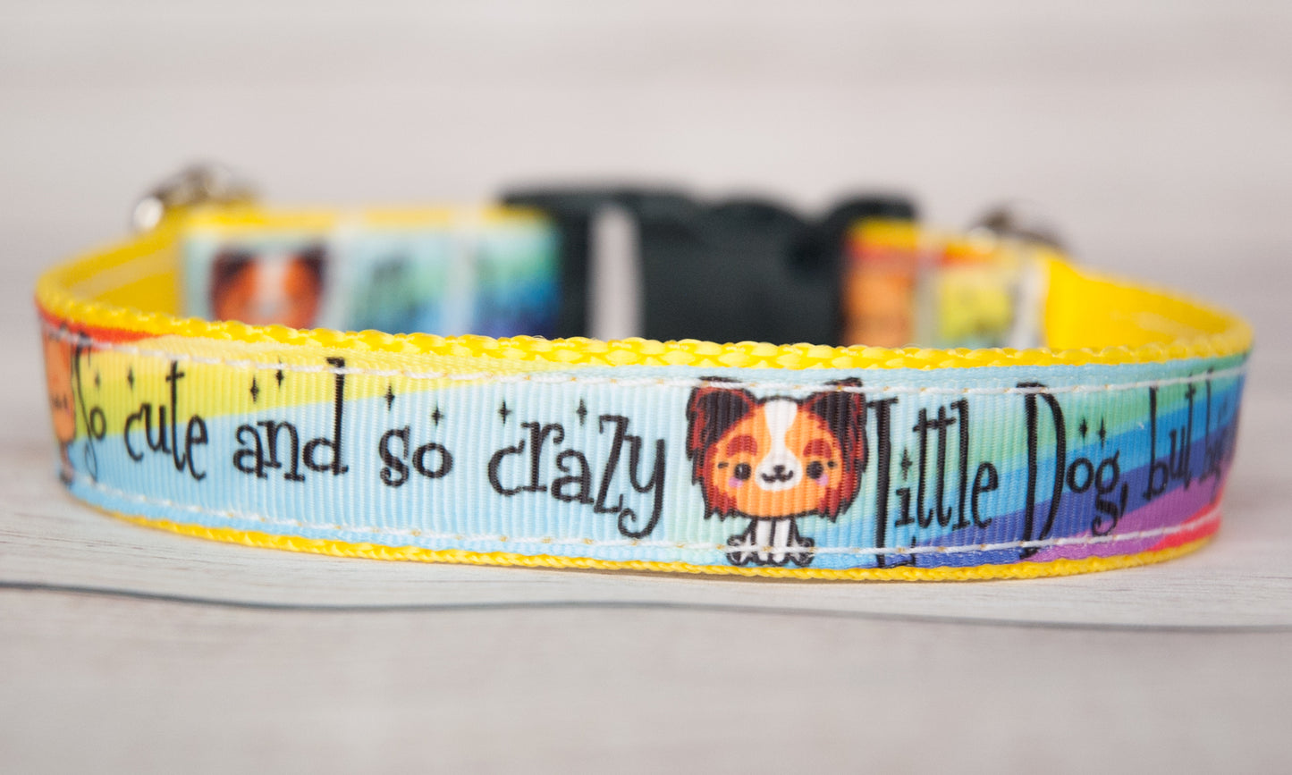 Little Dog, but big heart dog collar. 3/4" wide collar.