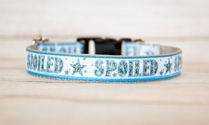 Spoiled dog collar. 3/4" wide