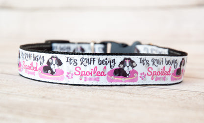 It's Ruff being spoiled dog collar and/or leash. 1 inch wide.