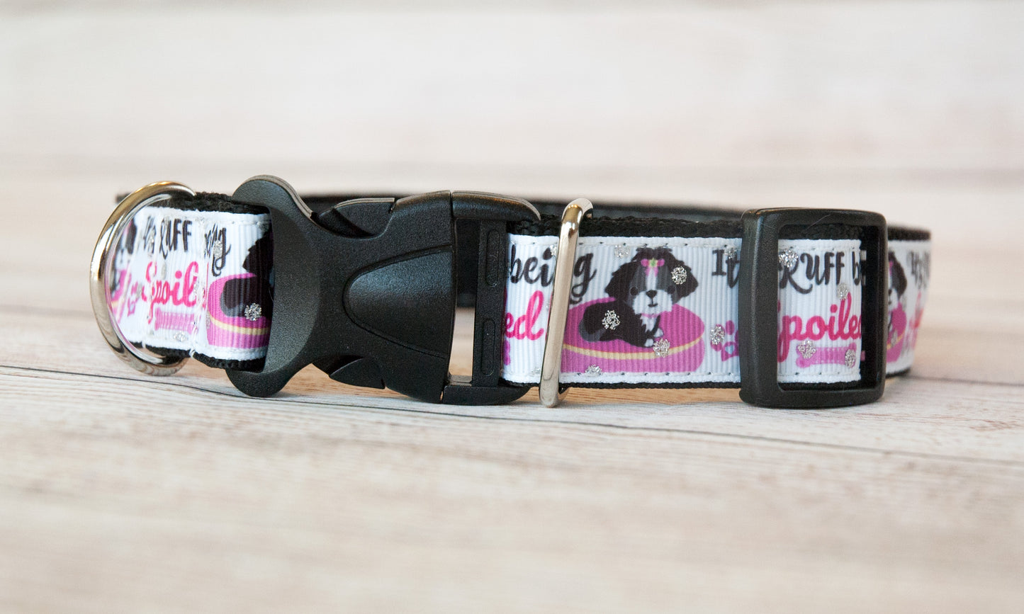 It's Ruff being spoiled dog collar and/or leash. 1 inch wide.