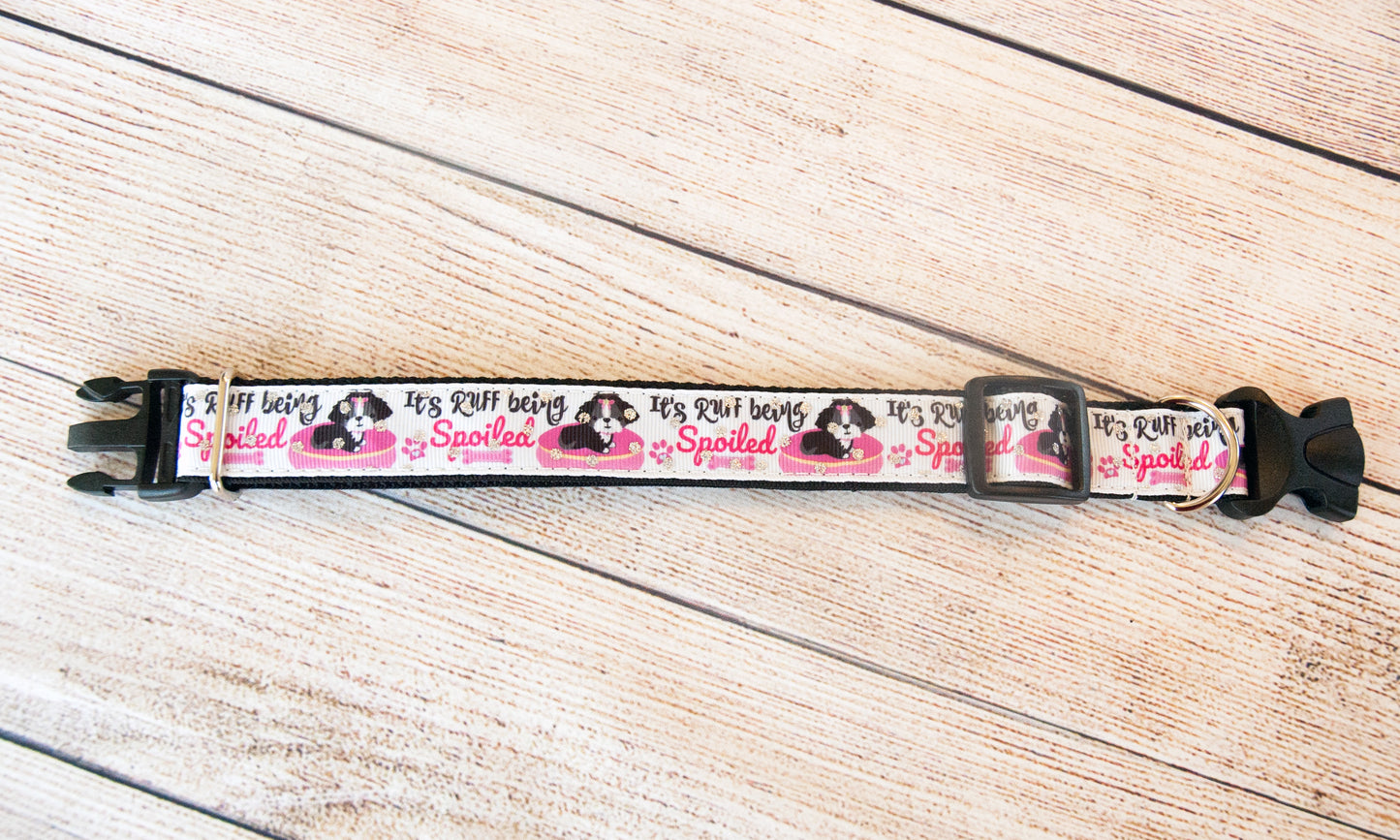It's Ruff being spoiled dog collar and/or leash. 1 inch wide.