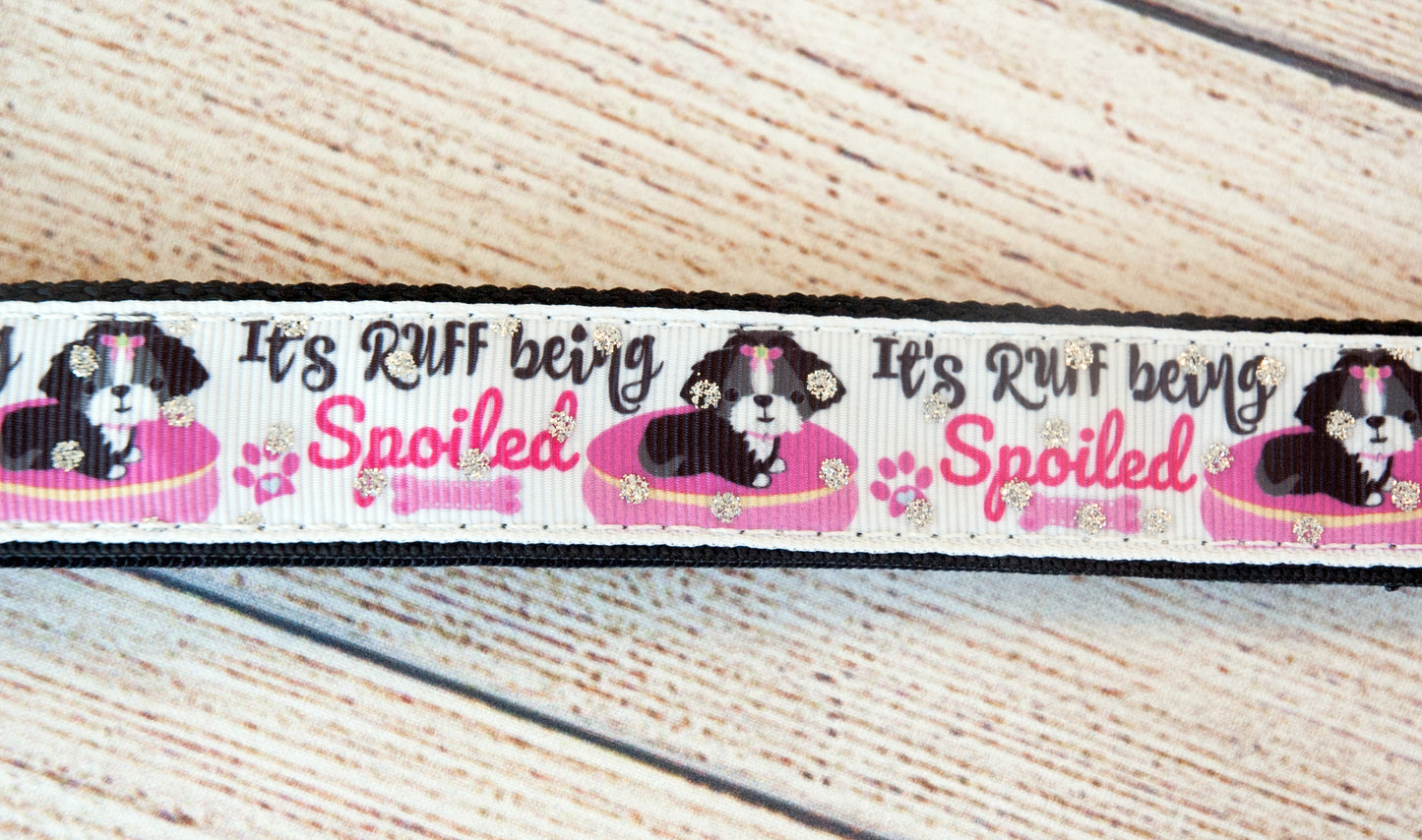 It's Ruff being spoiled dog collar and/or leash. 1 inch wide.