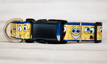 Sponge Bob character dog collar. 1 Inch wide