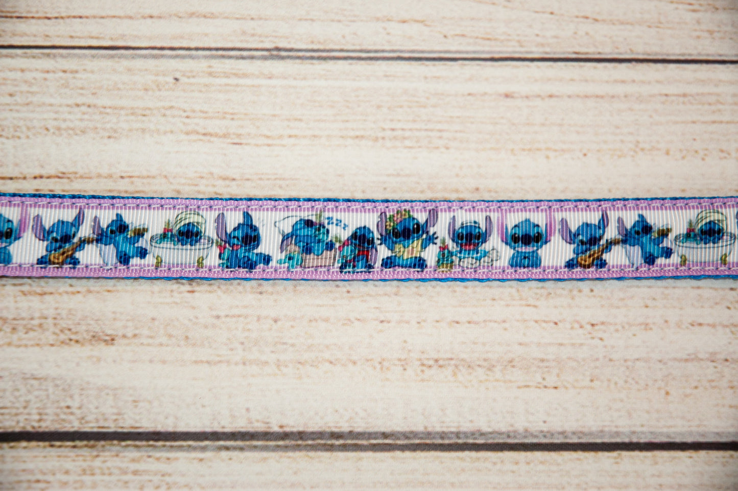 Blue Alien doing various activities dog collar and/or leash. 3/4" wide for smaller dogs