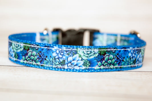 Succulent plants dog collar in blues and greens, 3/4" wide