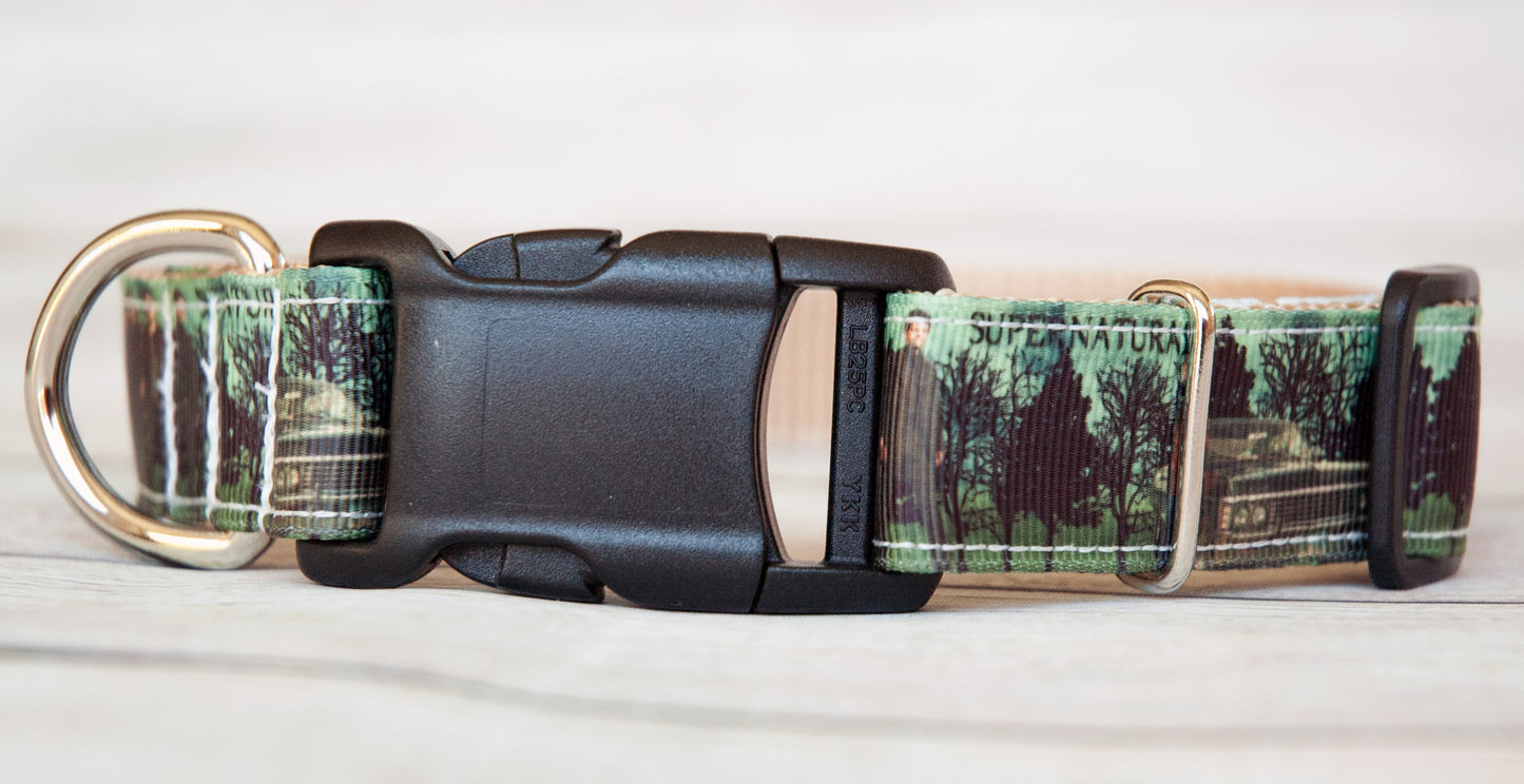 Supernatural green and black dog collar. 1 inch wide