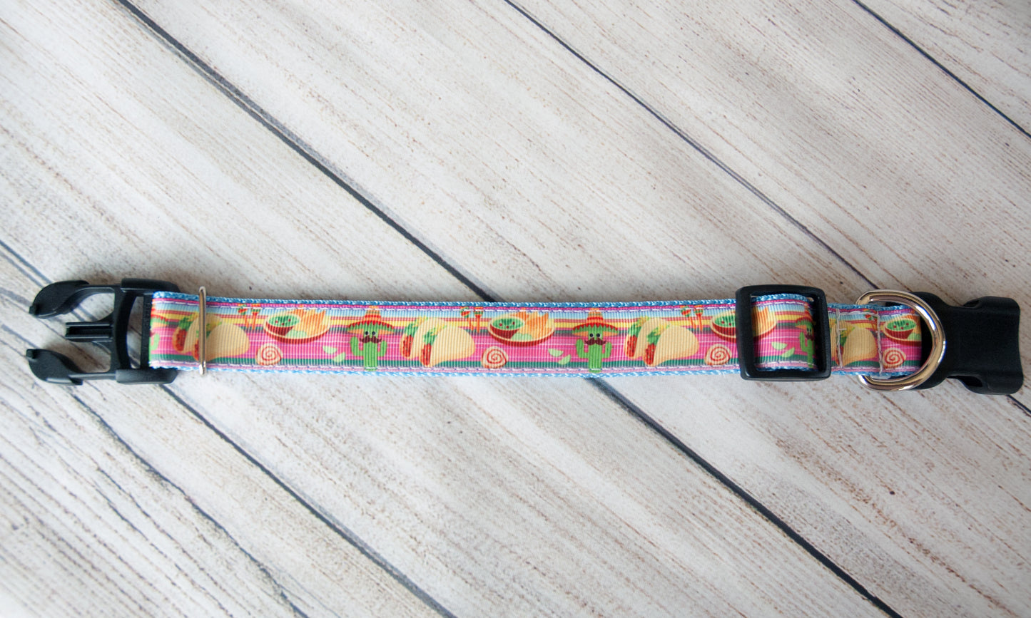 Taco Fiesta dog collar, Cactus collar, Guacamole and Chips collar. 1" wide