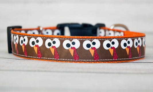 Turkey Googlie-eyes dog collar, Thanksgiving dog collar. 1" wide